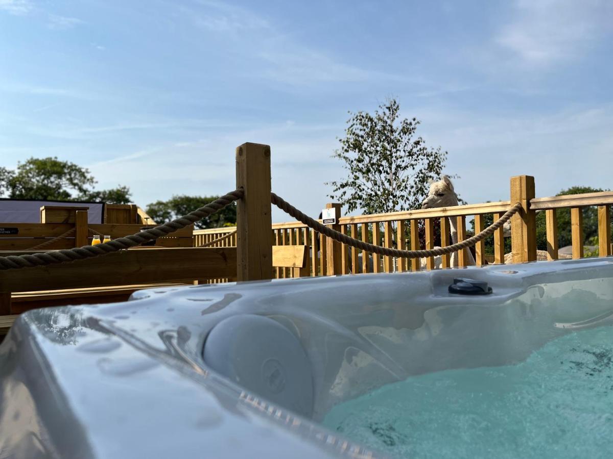 Jungle Book Safari Tent Tenby Zewnętrze zdjęcie