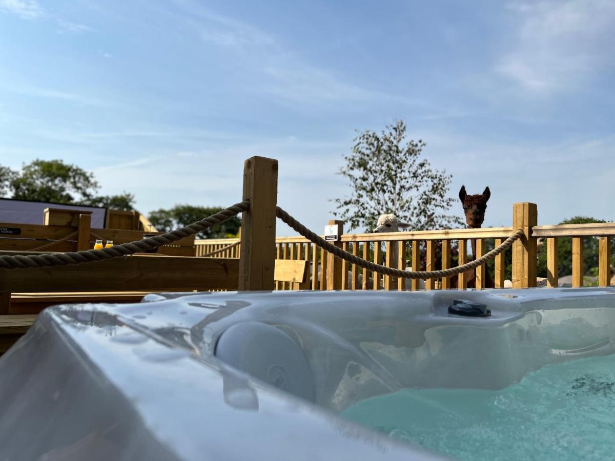 Jungle Book Safari Tent Tenby Zewnętrze zdjęcie