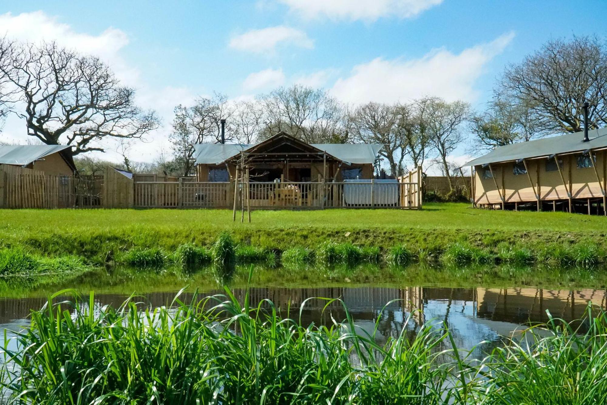 Jungle Book Safari Tent Tenby Zewnętrze zdjęcie