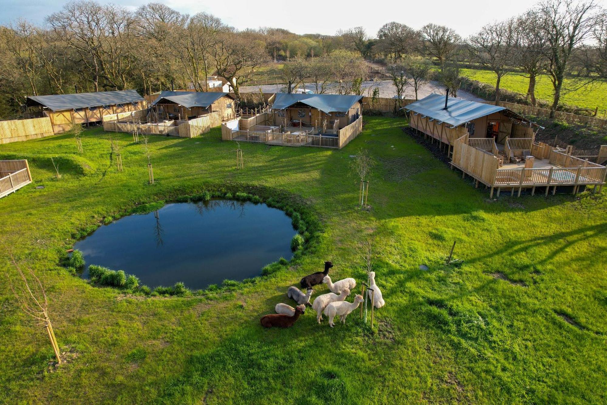 Jungle Book Safari Tent Tenby Zewnętrze zdjęcie