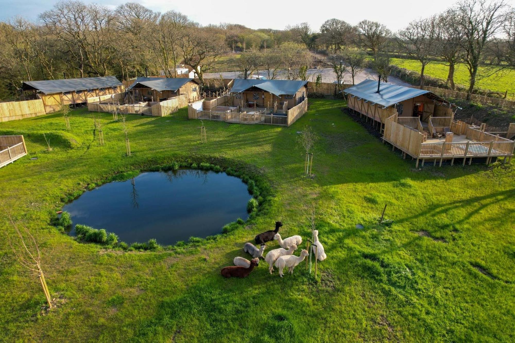 Jungle Book Safari Tent Tenby Zewnętrze zdjęcie